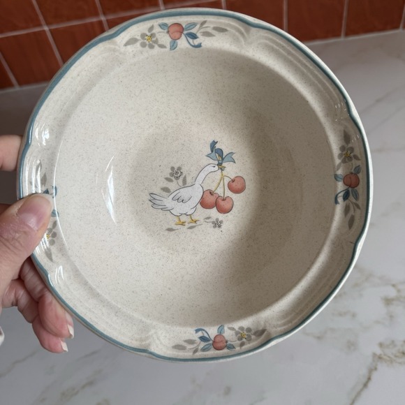 International China Marmalade Ducks Fruit Cottagecore 12 Pieces Service 4 8868 - Picture 8 of 13